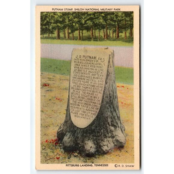 Putnam Stump Shiloh National Military Park Tennessee Linen Postcard - Picture 1 of 2